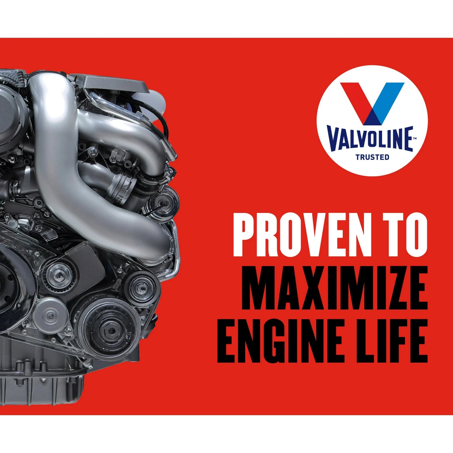 Valvoline High Mileage MaxLife Aceite de Motor de Mezcla Sintética 5W-30 1 Cuarto de Galón